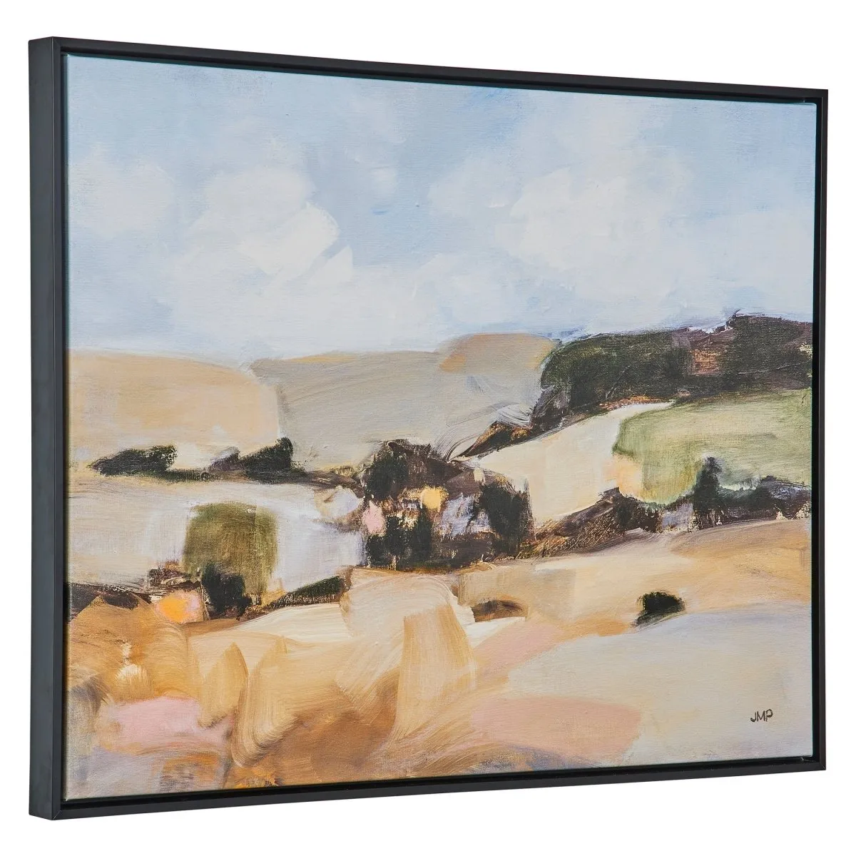 Desert Moment Framed Landscape Art