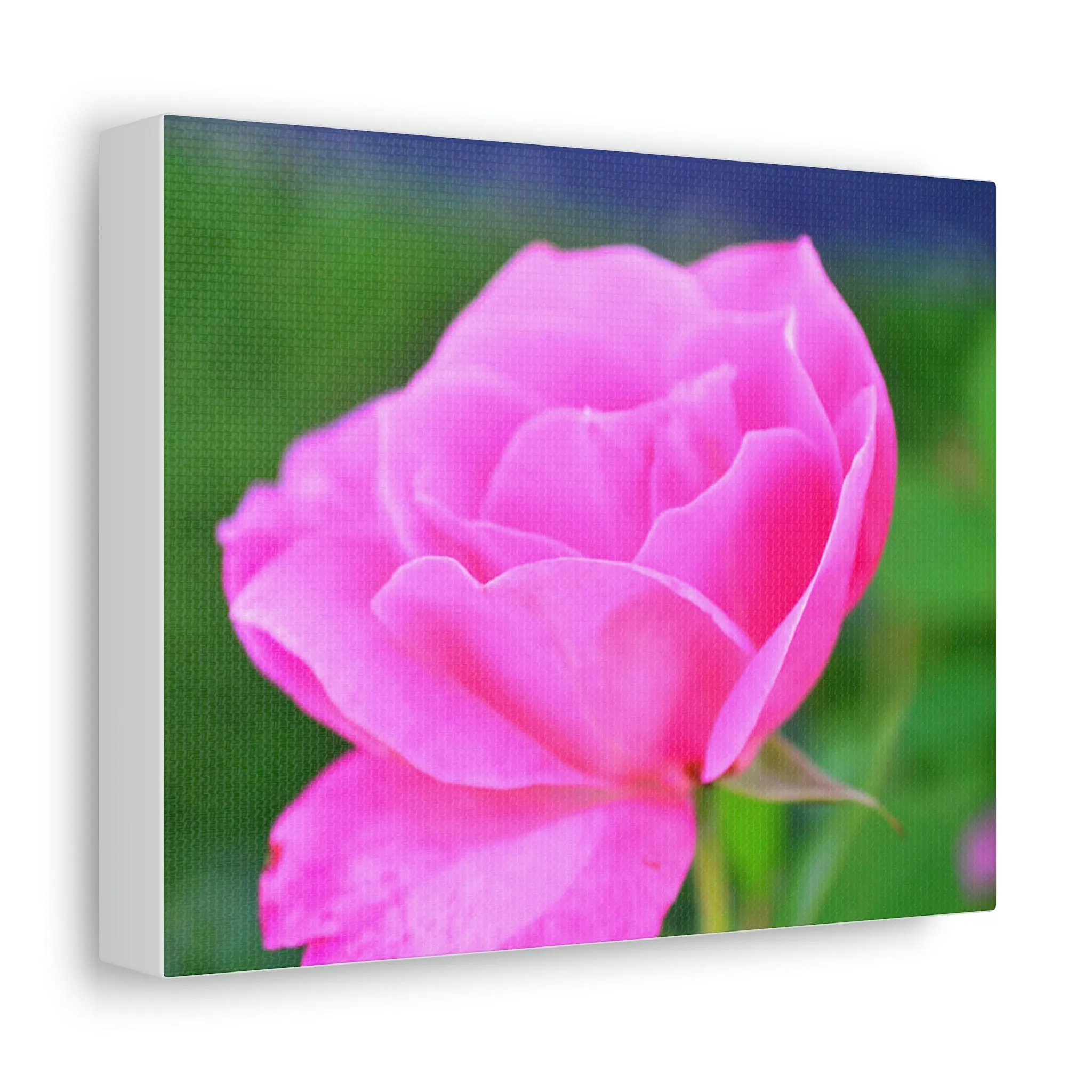 Pink Flower Stretched Canvas