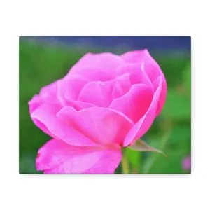 Pink Flower Stretched Canvas