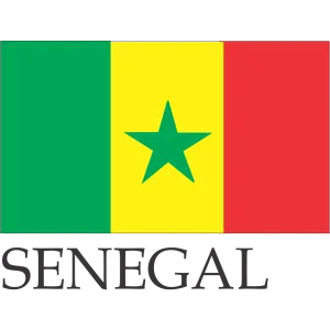 Senegal Embroidered Flag Badge