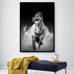 Unframed Wall Decor Beauty of Horse-White Multiple Sizes