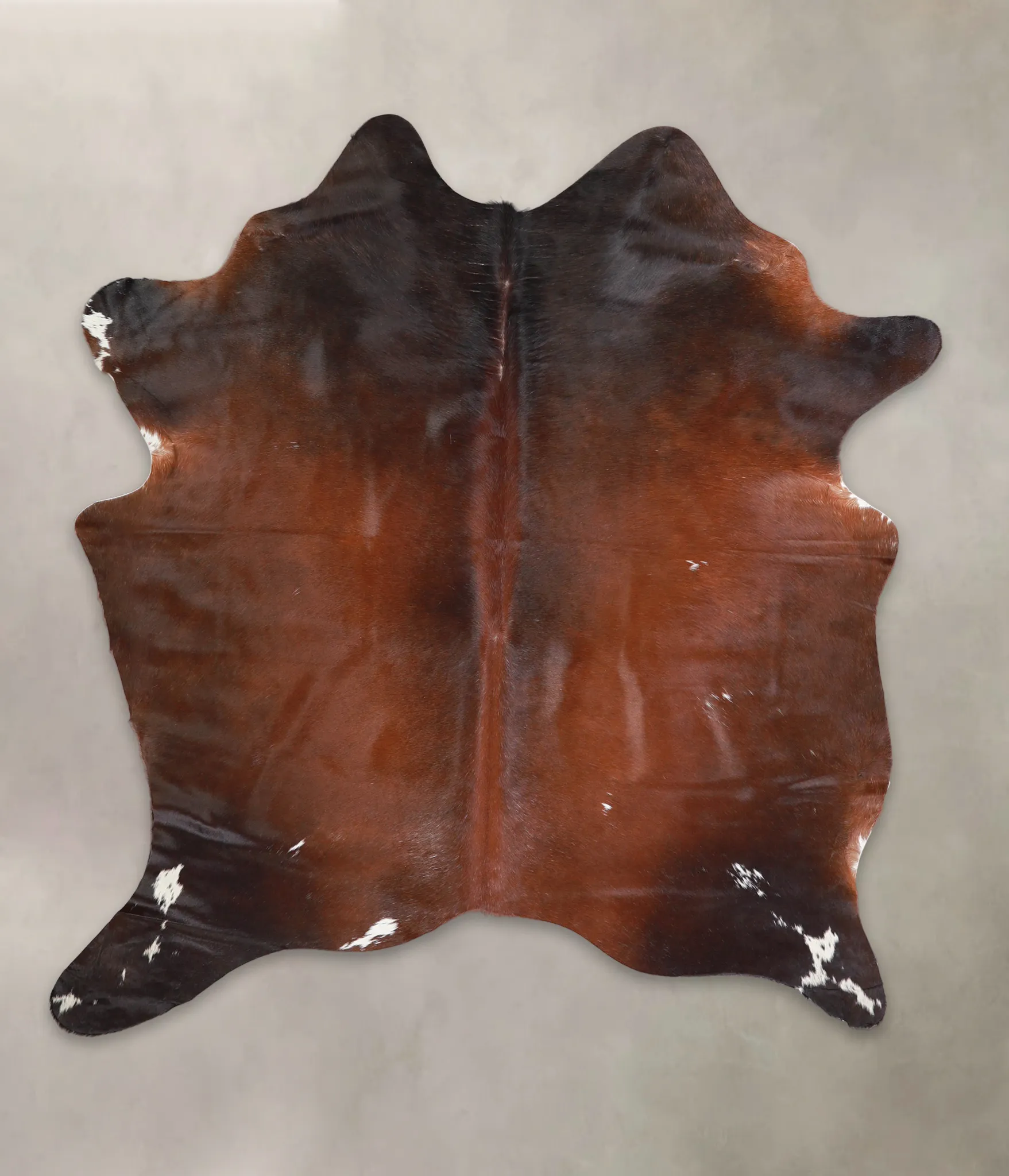 Warm Caramel Large Brazilian Cowhide Rug 6'1"H x 5'10"W #A25588 by Hudson Hides