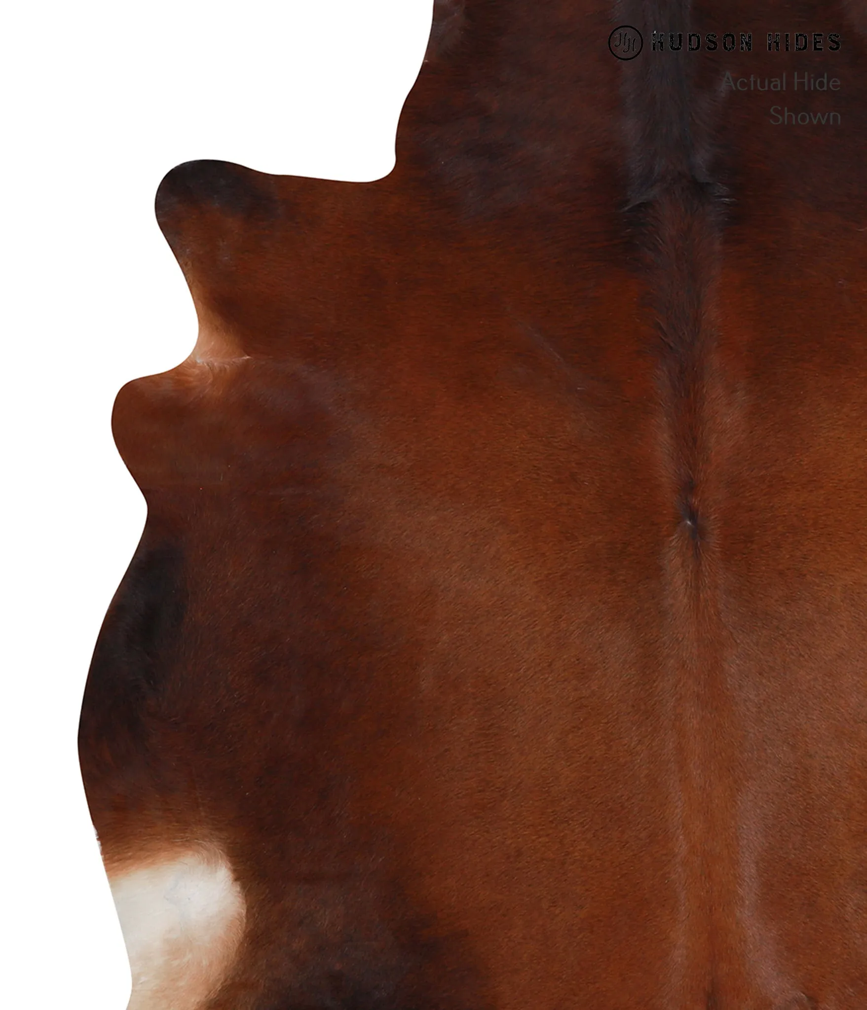 Warm Caramel Large Brazilian Cowhide Rug 6'1"H x 6'4"W #A3899 by Hudson Hides