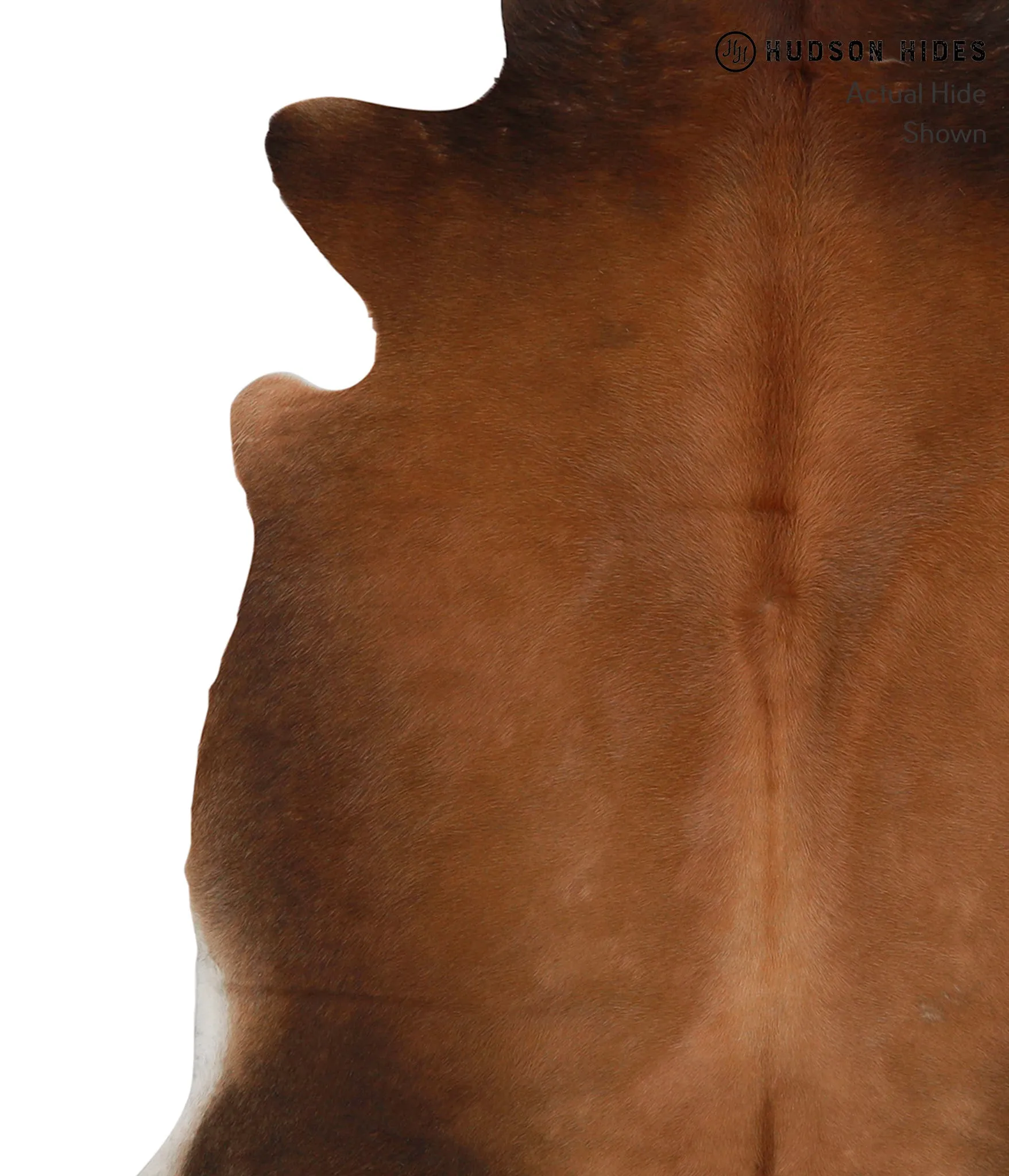 Warm Caramel Large Brazilian Cowhide Rug 6'4"H x 5'10"W #85394 by Hudson Hides