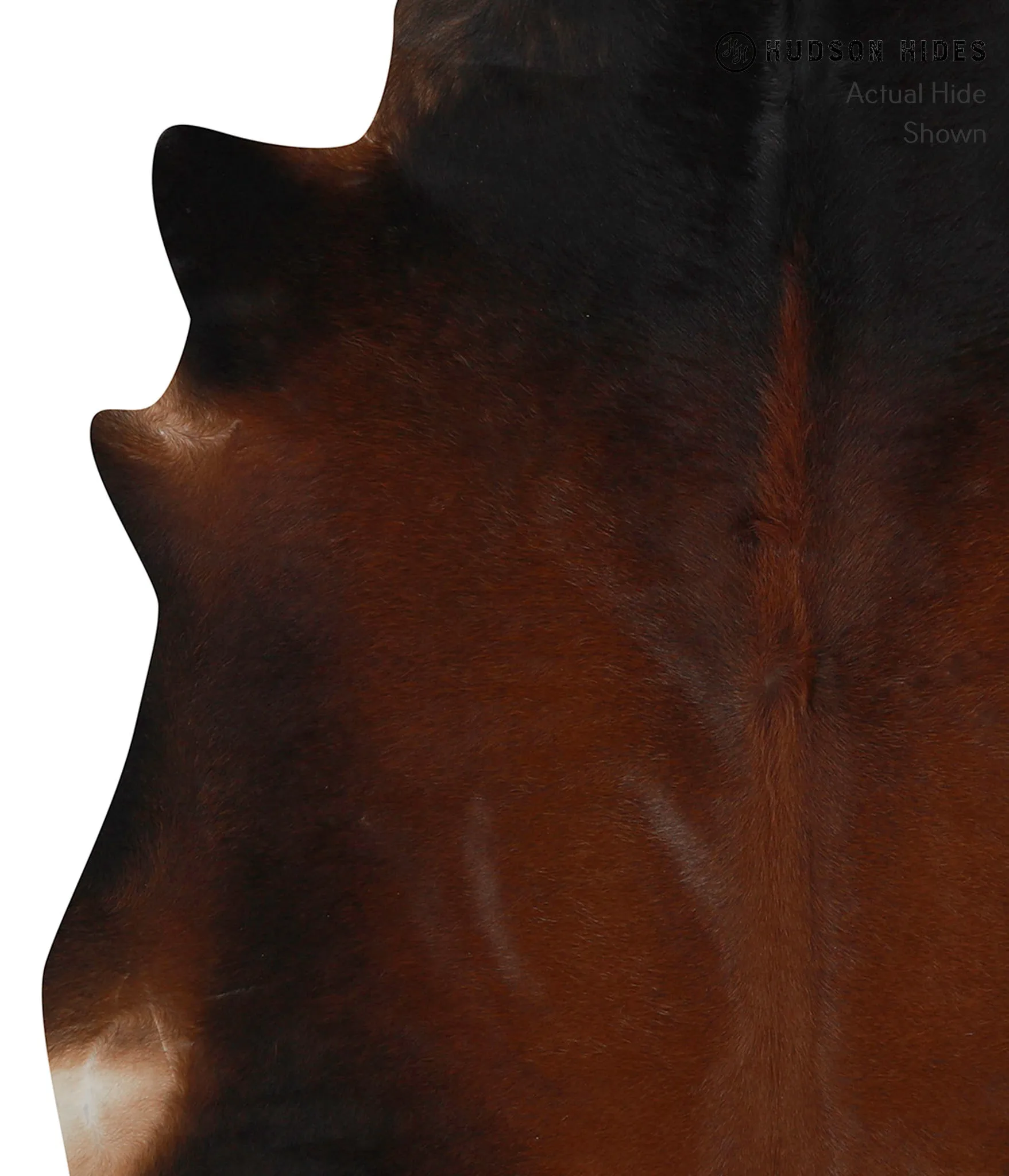 Warm Caramel Large Brazilian Cowhide Rug 6'6"H x 5'10"W #84794 by Hudson Hides