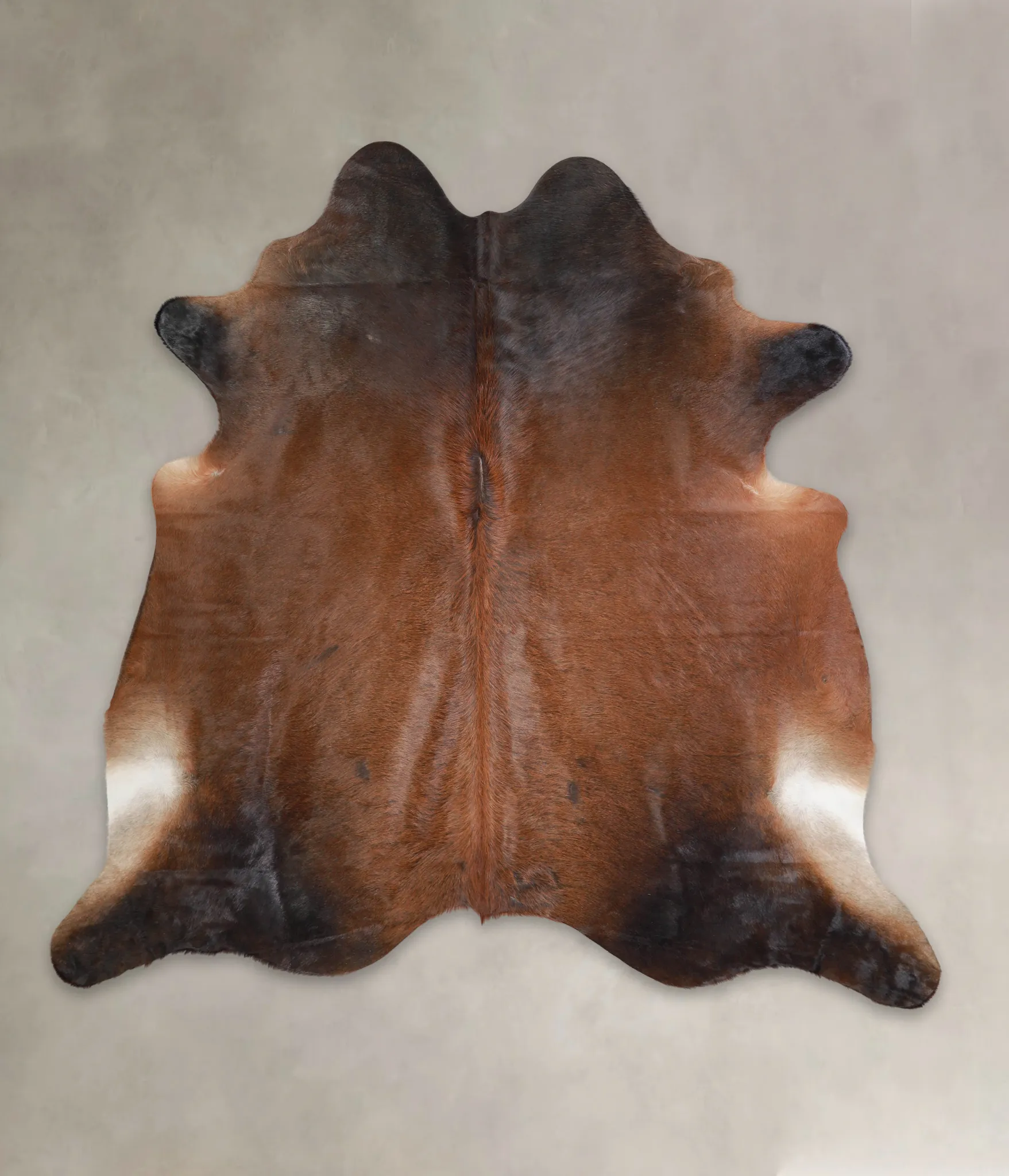 Warm Caramel X-Large Brazilian Cowhide Rug 6'10"H x 6'11"W #A22026 by Hudson Hides