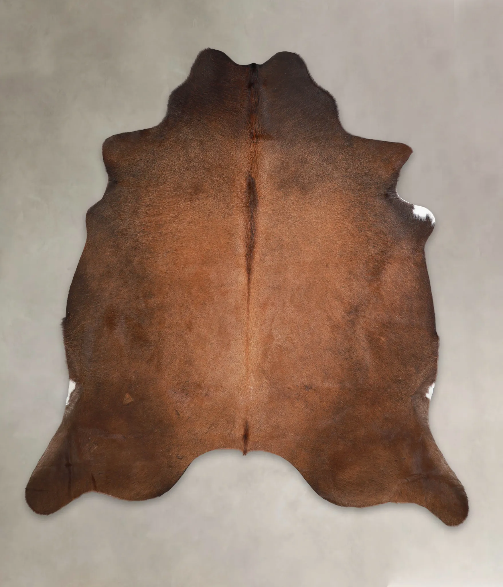 Warm Caramel X-Large Brazilian Cowhide Rug 6'11"H x 6'5"W #A23749 by Hudson Hides