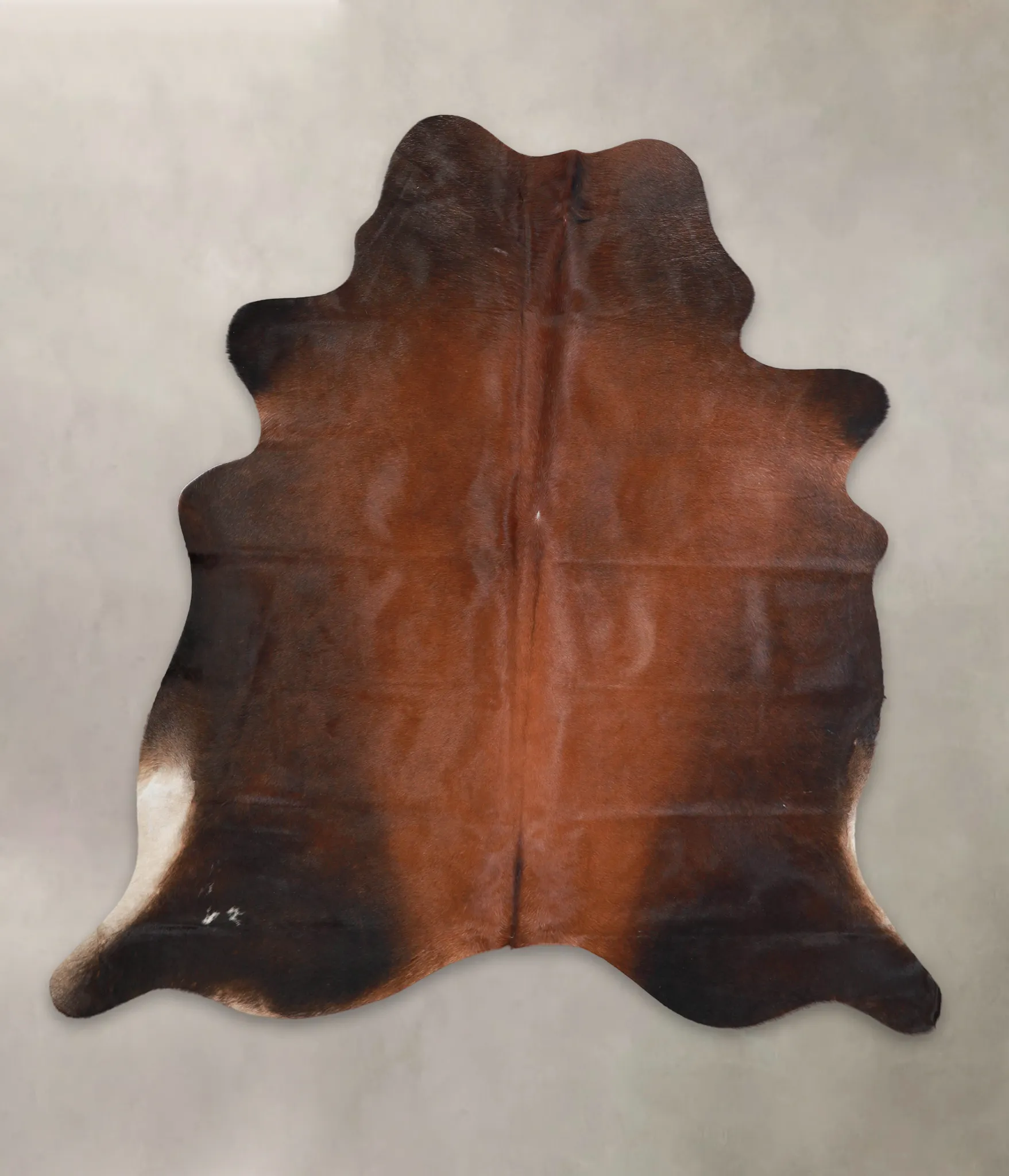 Warm Caramel X-Large Brazilian Cowhide Rug 6'6"H x 6'3"W #A25019 by Hudson Hides