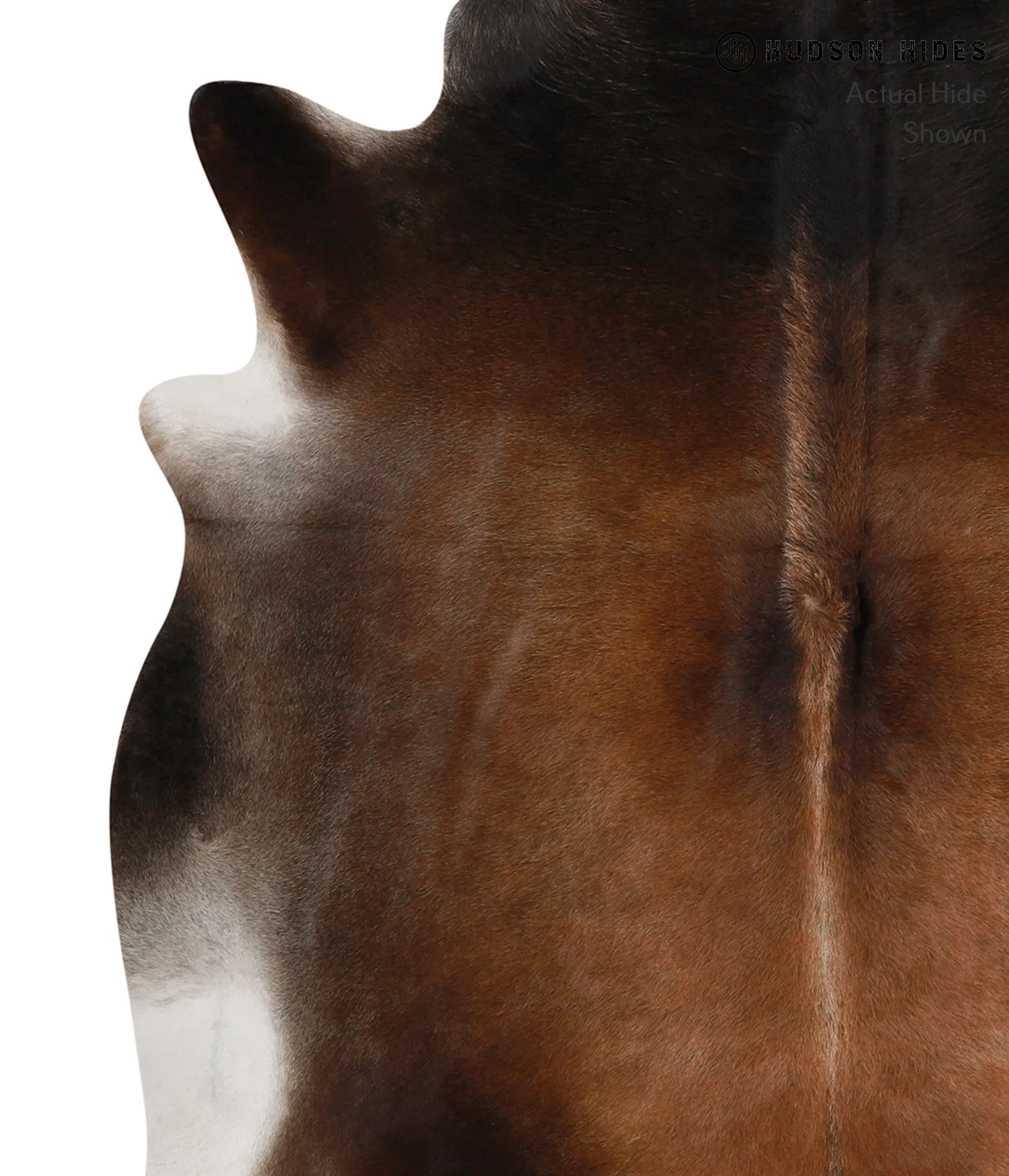 Warm Caramel X-Large Brazilian Cowhide Rug 7'4"H x 6'2"W #84363 by Hudson Hides