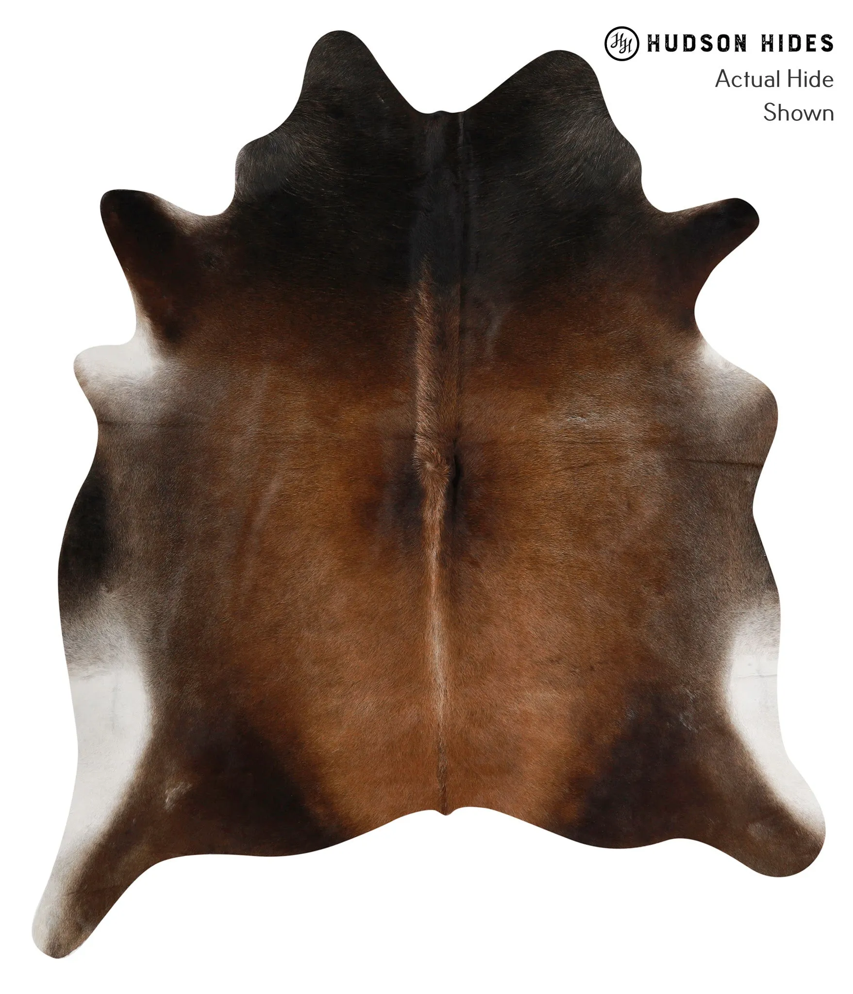 Warm Caramel X-Large Brazilian Cowhide Rug 7'4"H x 6'2"W #84363 by Hudson Hides