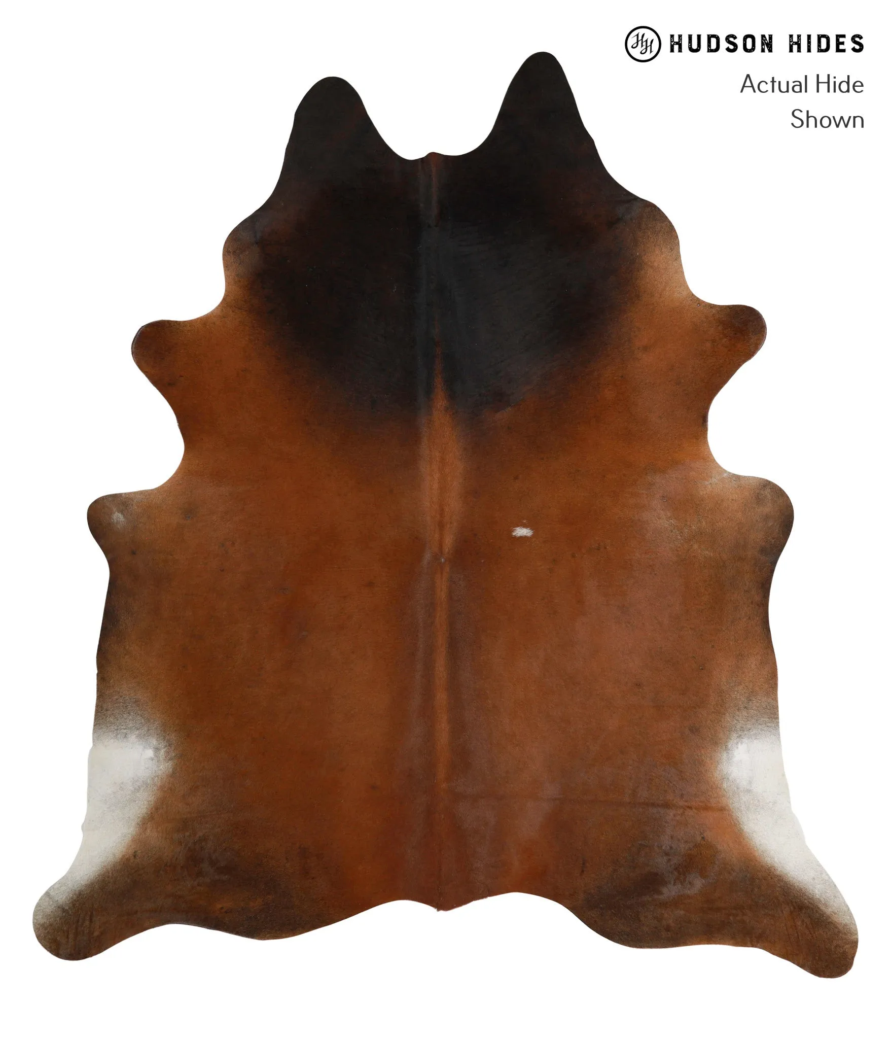 Warm Caramel XX-Large Brazilian Cowhide Rug 7'11"H x 6'11"W #82278 by Hudson Hides