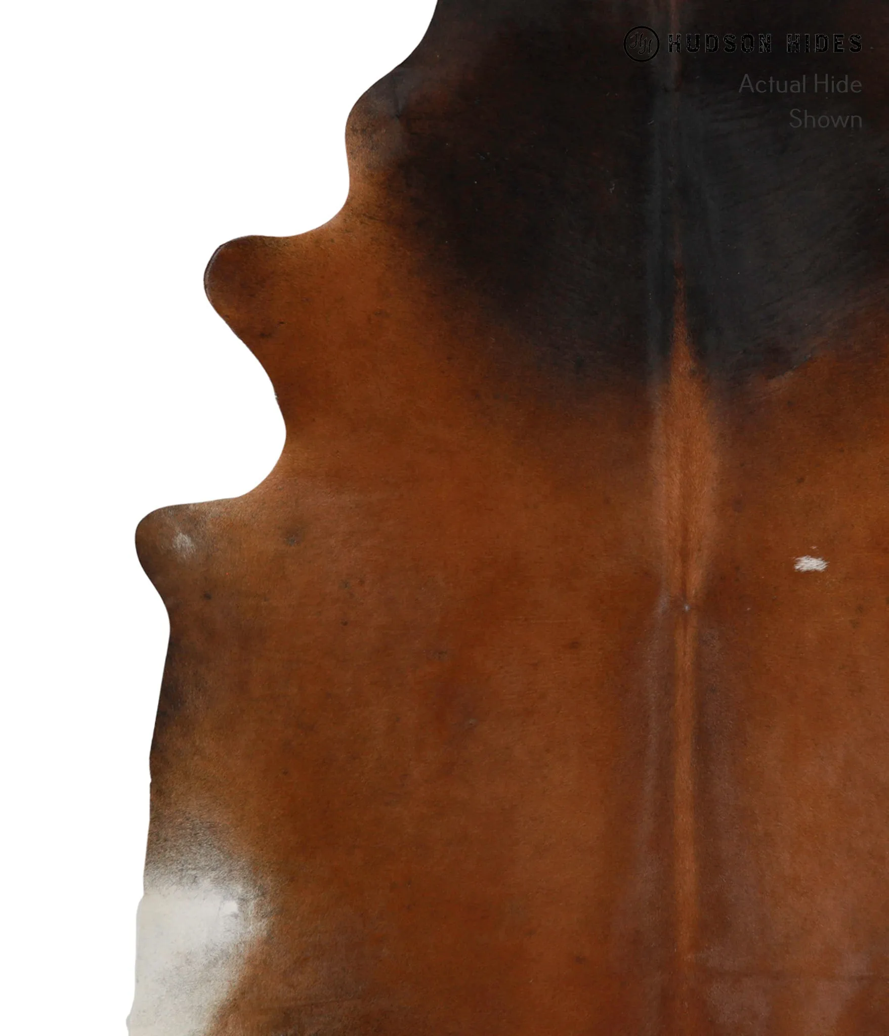 Warm Caramel XX-Large Brazilian Cowhide Rug 7'11"H x 6'11"W #82278 by Hudson Hides